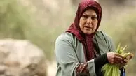 سفر در زمان | چهرۀ «مهرانه مهین‌ترابی» بازیگر سریال آنام در اولین فیلم سینمایی‌اش 40 سال پیش