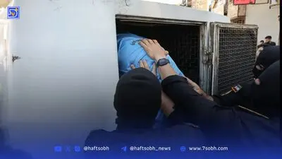 خشم، زبان دیگری برای گفتن می‌ترسم