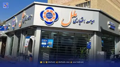 موسسه اعتباری ملل در باتلاق زیان ۶۵ همتی