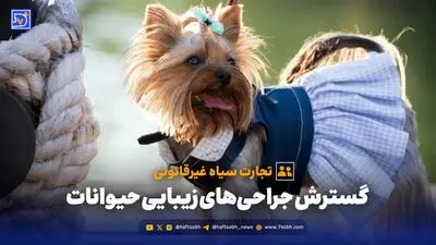 آیا حیوانات هم مثل انسان ها خواب و رویا می بینند؟