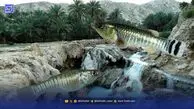 گونه غیربومی گامبوزیا تهدیدی برای ماهیان بومی هرمزگان