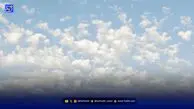 رنگ سال ۲۰۲۶ رسماً اعلام شد