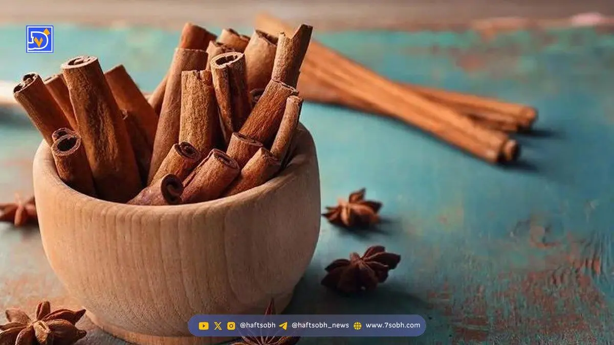 ادویه‌ای با ارزش‌تر از طلا؛ داستانی که مسیر تاریخ را عوض کرد
