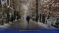هوا سردتر می‌شود/ برف و باران تا این تاریخ مهمان پایتخت است