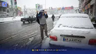 بارش شدید برف همدان را سفیدپوش کرد + عکس