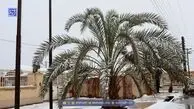 کدام استان ها برفی هستند؟