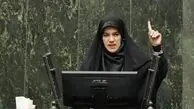 عضو فراکسیون زنان: حق عائله‌مندی زنان به رسمیت شناختن نقش برابرشان در نظام پرداخت است