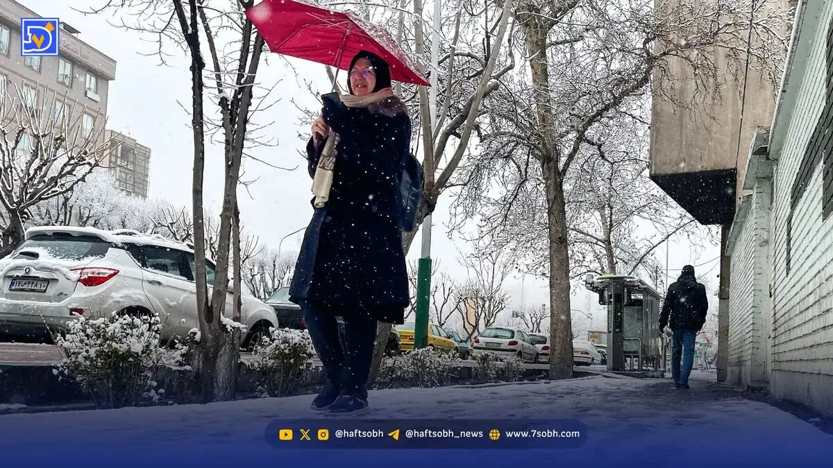 هواشناسی ایران | آغاز بارش برف سنگین از امروز