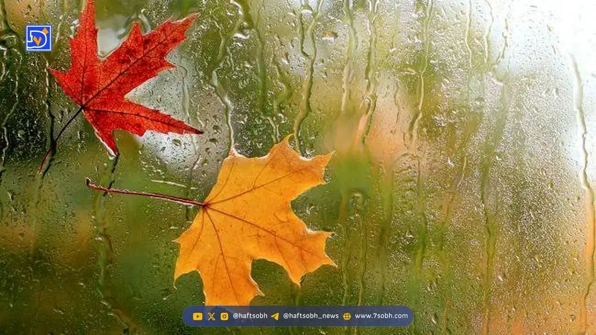 آغاز بارش‌های سنگین تا ساعاتی دیگر/ تهرانی ها منتظر باشند