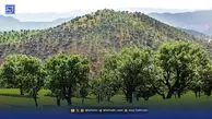 همایش‌ نمایشی برای نجات زاگرس