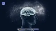 آیا ما فقط از ۱۰ درصد توان مغز خود استفاده می‌کنیم؟