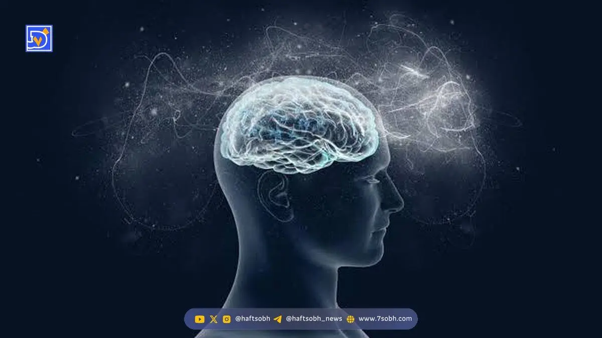 آیا ما فقط از ۱۰ درصد توان مغز خود استفاده می‌کنیم؟
