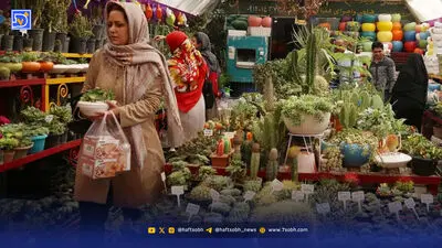 گلدان‌ها جای باغچه را گرفته‌اند