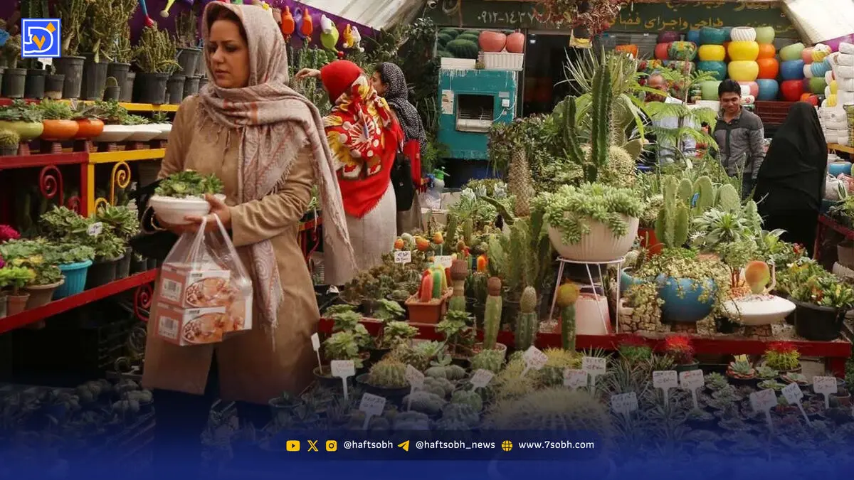 چند نکته مهم درباره بازار کاکتوس در ایران ‌