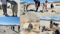 هم‌افزایی برای مهار ریزگردها در تالاب‌های طشک و بختگان فارس