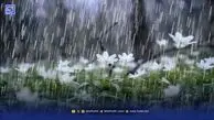 پیش بینی شرطی هواشناسی برای هفته آینده | شمارش معکوس برای هموطنان!