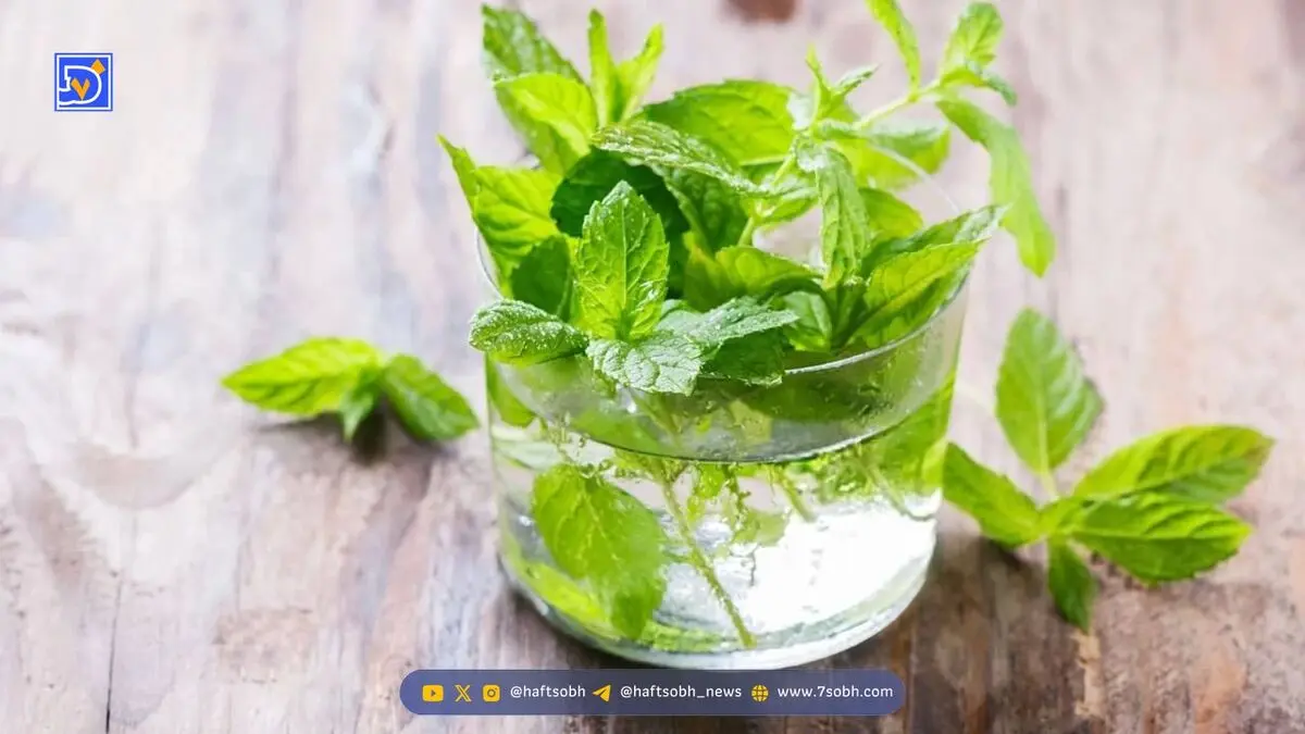 مشکلات گوارشی را با این نوشیدنی ساده از بین ببرید