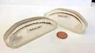 قدیمی‌ترین جانور منفرد دنیا که ۵۰۷ سال عمر کرد
