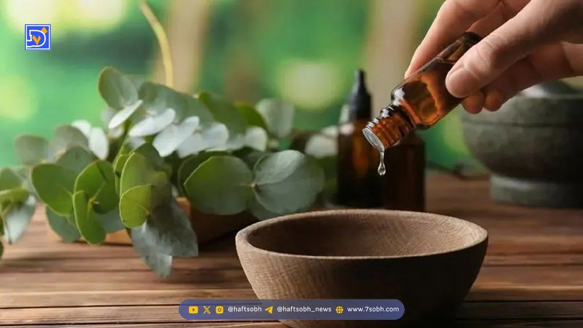 راز پوست مرطوب و آرامش بدن در یک گیاه استرالیایی