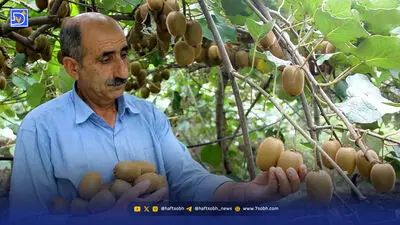 انحصار پنهان در میادین میوه و تره‌بار  