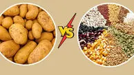 سیب زمینی و غلات می‌توانند جایگزین یکدیگر باشند؟