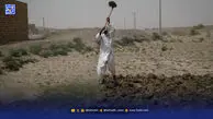 سیلاب به هامون رسید اما به ایران نه!