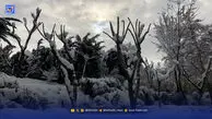 هفته پر بارش در انتظار کشور/ دو سامانه جدید بارشی در راه ایران