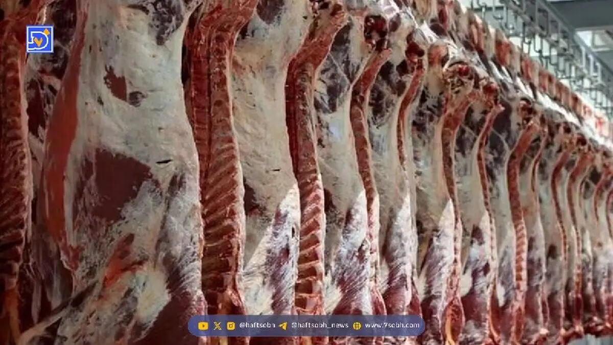 اختلاف قیمت ۲۵ درصدی گوشت گوسفندی در میادین میوه نسبت به سطح شهر/ درصد برنج و شکر چقدر بود؟