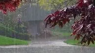 هواشناسی ایران | این استان‌ها بارانی و برفی است