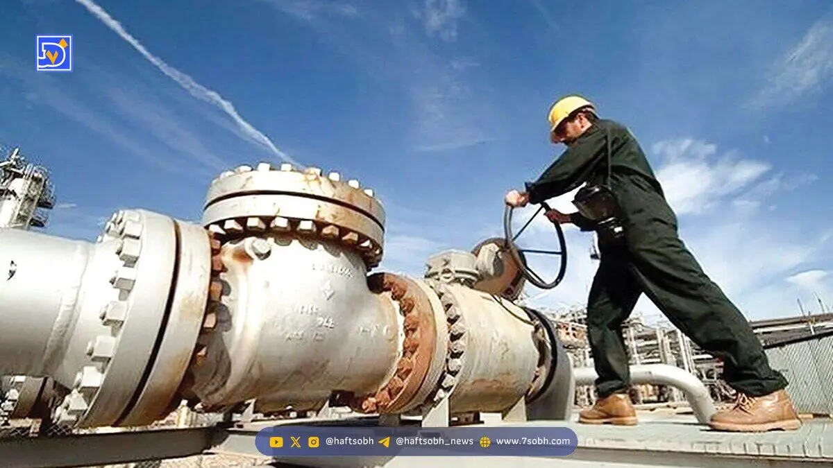 مشارکت پتروشیمی‌ها در توسعه میادین گازی، کلید تأمین پایدار خوراک