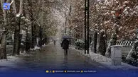 هشدار هواشناسی برای پایتخت‌نشینان / موج برف و کولاک در راه است