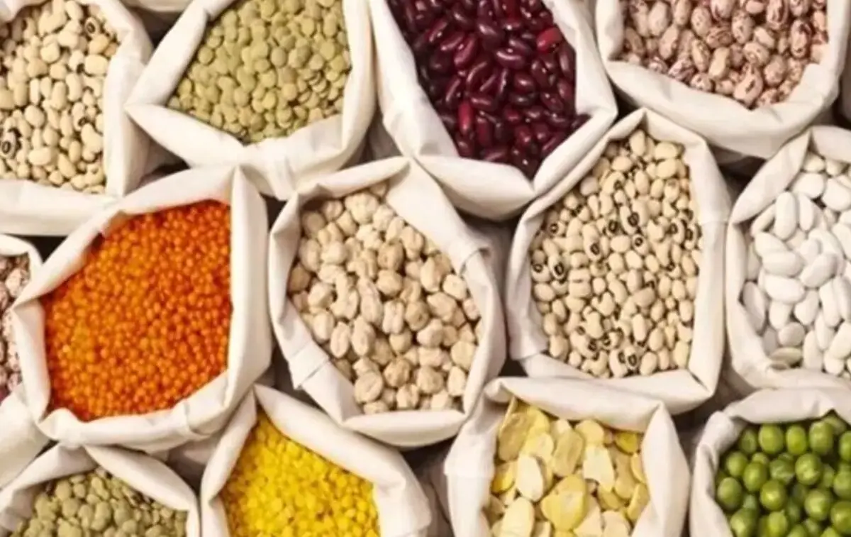 تغییر عجیب قیمت حبوبات در دی ۱۴۰۴/ قیمت لوبیاچیتی به مرز ۶۰۰ هزار تومان رسید