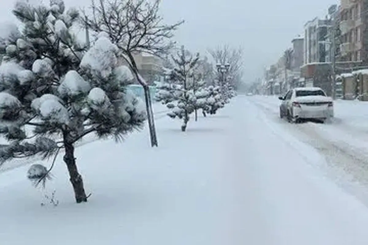 هشدار بهمن و سرمازدگی در تهران