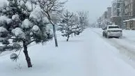 هشدار بهمن و سرمازدگی در تهران