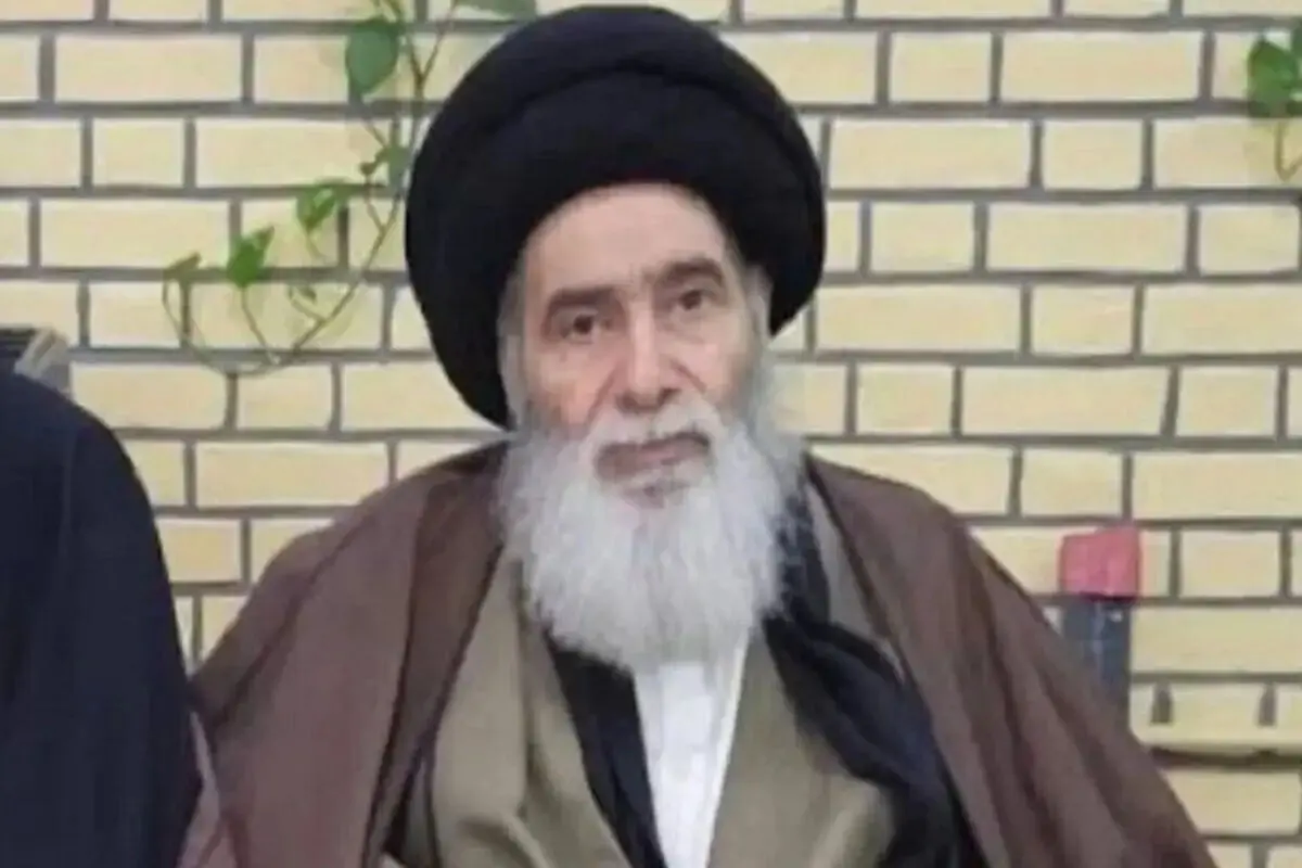 آیت‌الله هادی سیستانی درگذشت