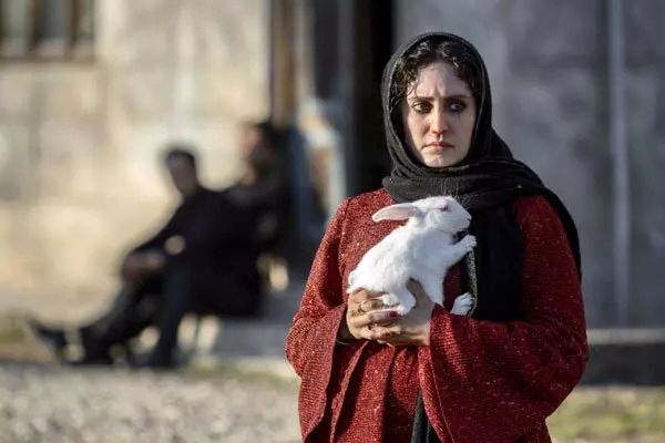 (تصاویر) بیوگرافی، عکس‌های شخصی و زندگی خصوصی الناز شاکردوست