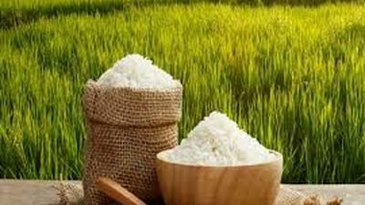 برخورد قاطع با اخلال‌گران در بازار کالاهای اساسی