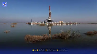 بوته‌ها پیشروی می‌کنند اما‌ اسب‌ها‌ محاکـمه‌ می‌شوند