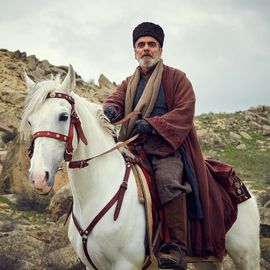 photo_2025-11-11_22-12-30 (2)