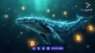 بیداری نهنگ بیت کوین پس از یک دهه؛ انتقال ۵۰۰ بیت کوین به ارزش ۴۱ میلیون دلار