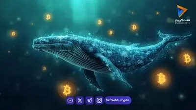 بیداری نهنگ بیت کوین پس از یک دهه؛ انتقال ۵۰۰ بیت کوین به ارزش ۴۱ میلیون دلار