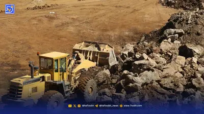 نرها زیاد شدند؛ گوزن‌ها به جان هم افتادند