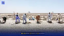 هامون تشنه‌تر از همیشه