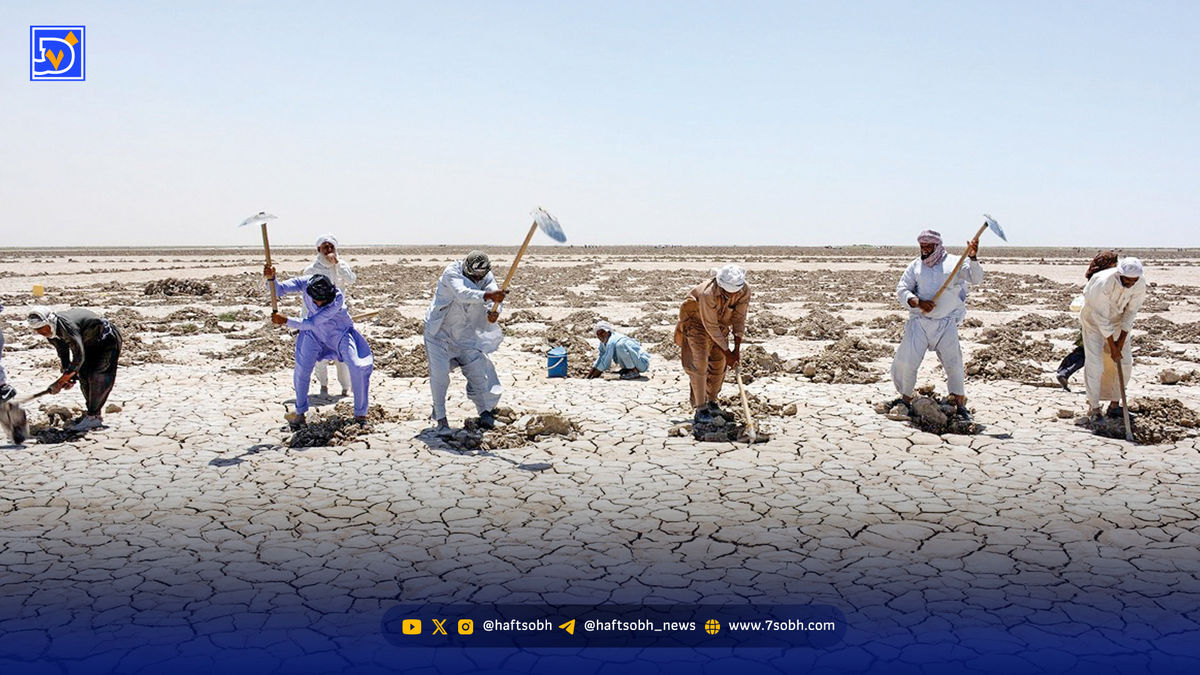 هامون تشنه‌تر از همیشه