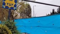 صفر تا صد کشف گنج با شکوه در قطعه ۲۵۲ بهشت زهرا 