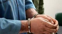 استرداد متهم کلاهبردار ۱۰هزار میلیاردی به کشور