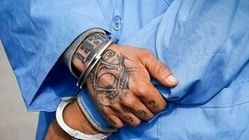 فقط ۱۵ دقیقه بعد از دستور قاتل دستگیر شد/ جزئیات