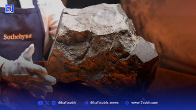 قاصدک ولزی، گلی با داستانی حماسی