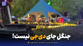 جنگل جای دی‌جی نیست!