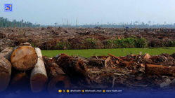 ‌جنگل‌های از نفس افتاده